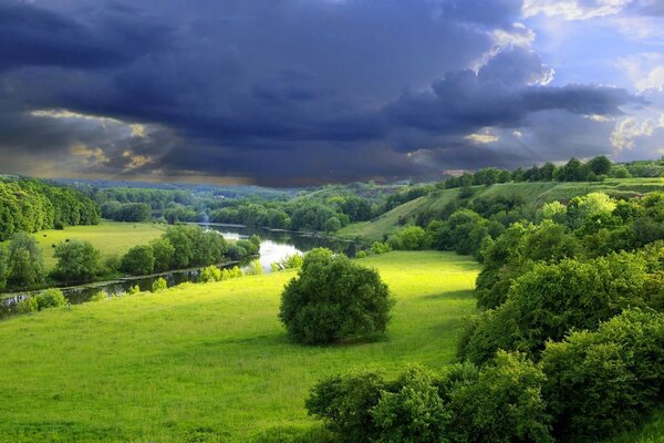 Nature d été arbres verts près de la rivière