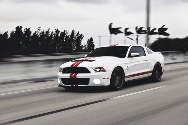 Ford Mustang is driving at full speed on the track