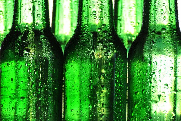 Botellas de cerveza empañadas verdes