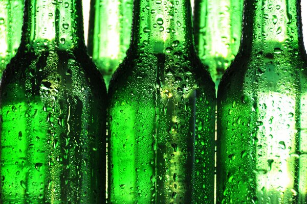 Bouteilles de bière embuées vertes