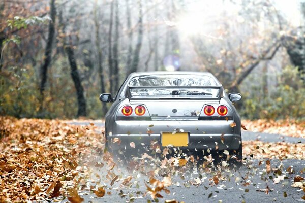 Nissan Skyline drives through the autumn forest