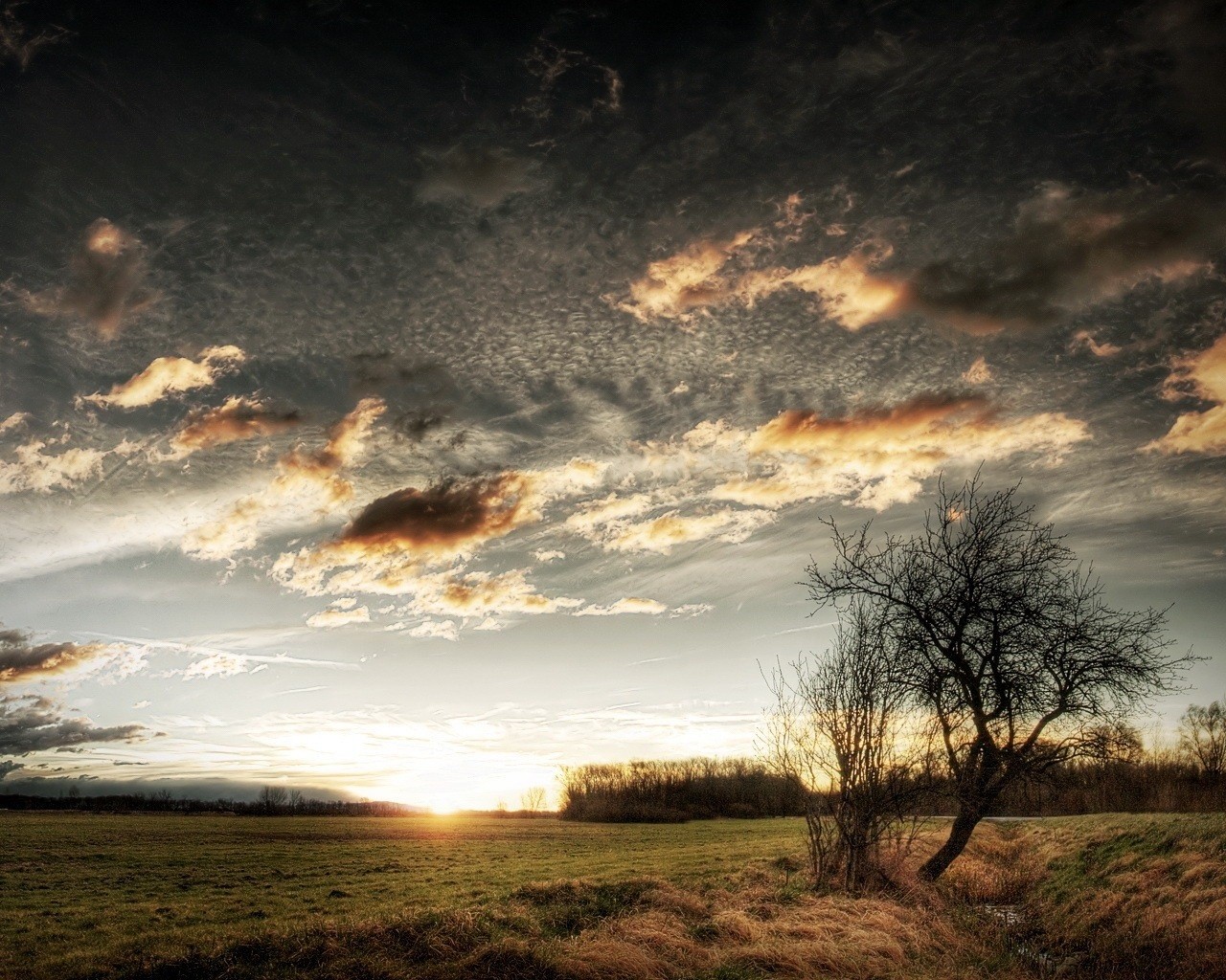 lever du soleil coucher de soleil éléphant steppe ruisseau