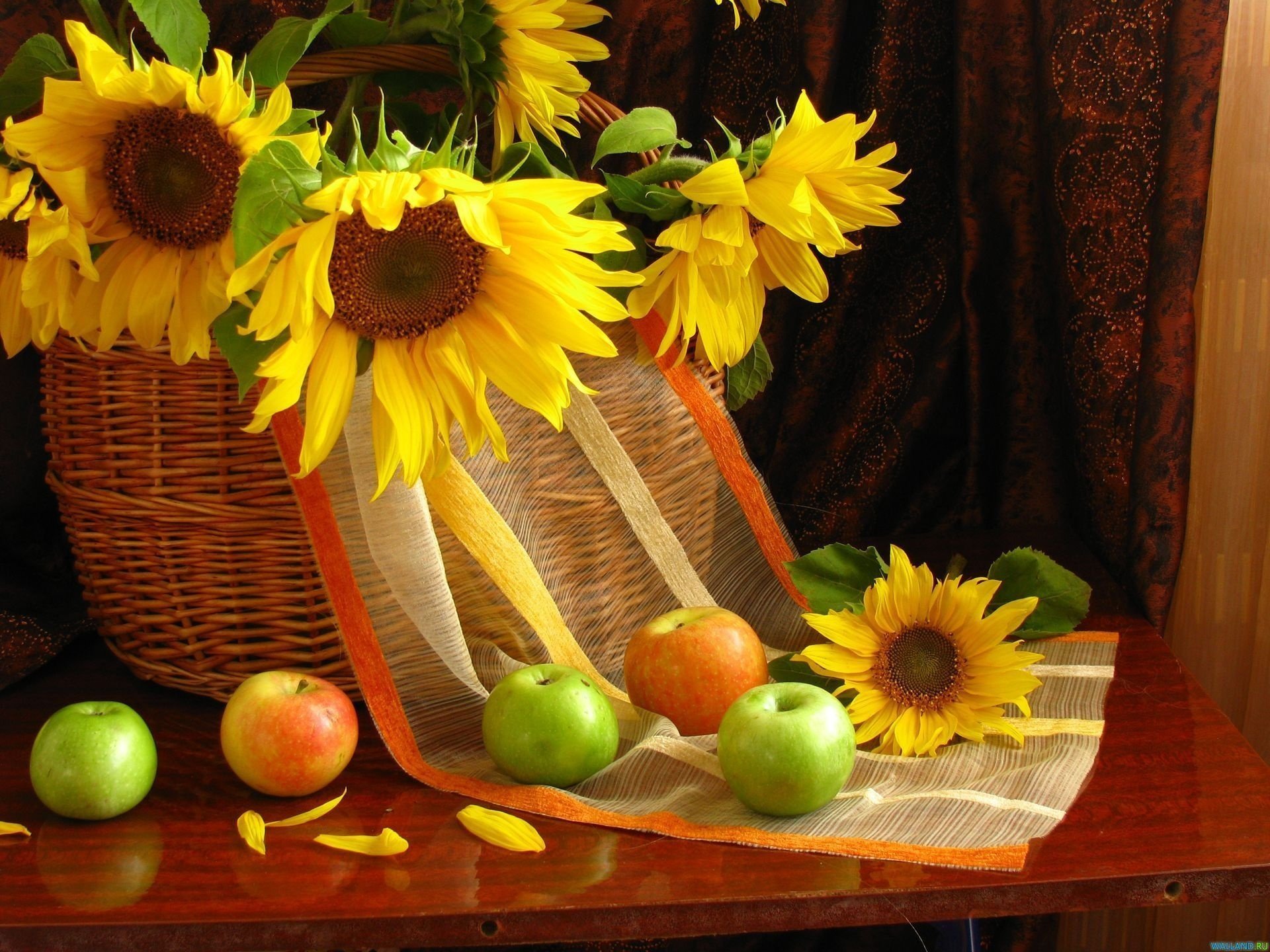 girasoles flores frutas manzanas pétalos naturaleza muerta