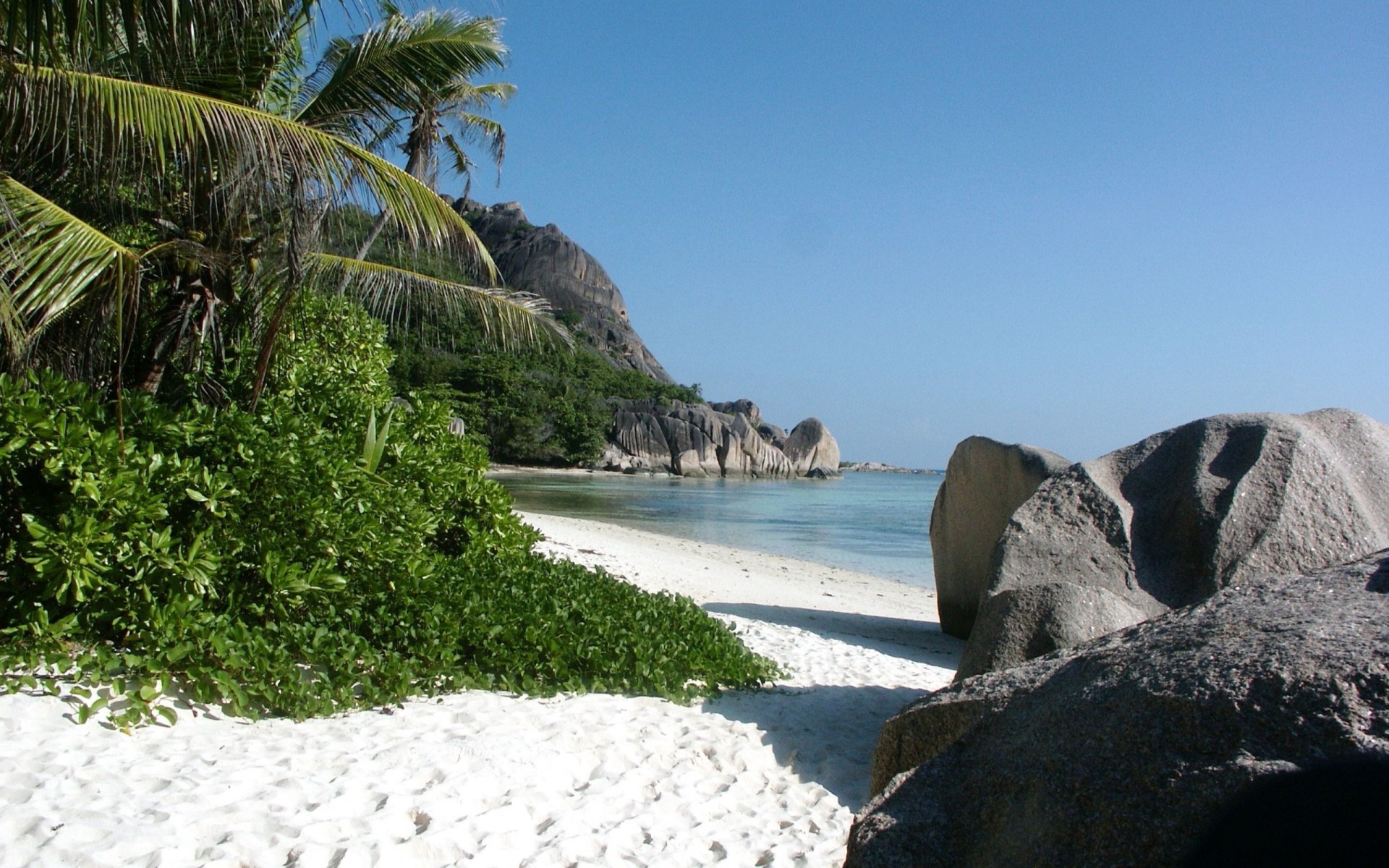 plage tropicale sable mer pierres roseau