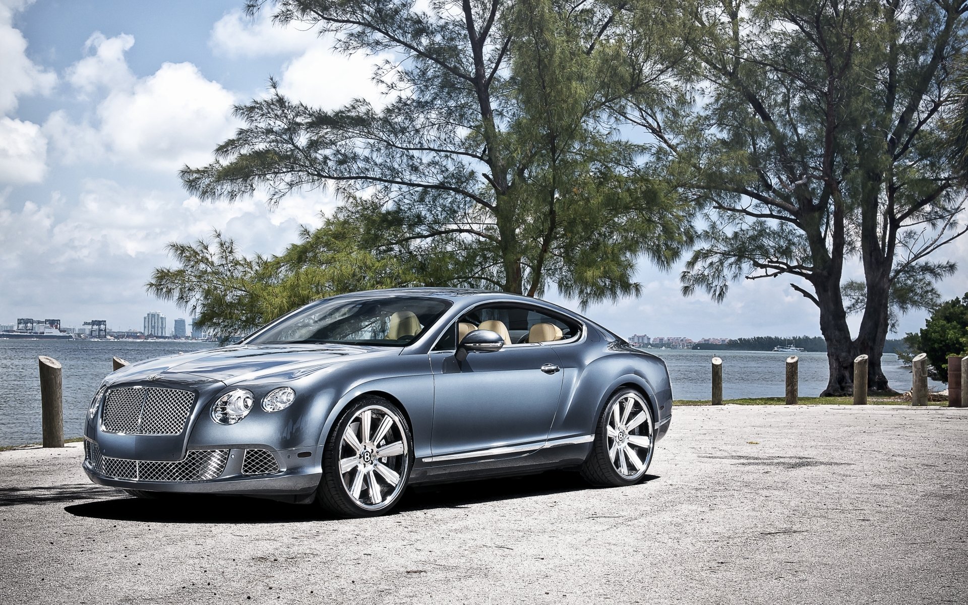 bentley continental gt bentley continental gt coupe frente costa árboles cielo