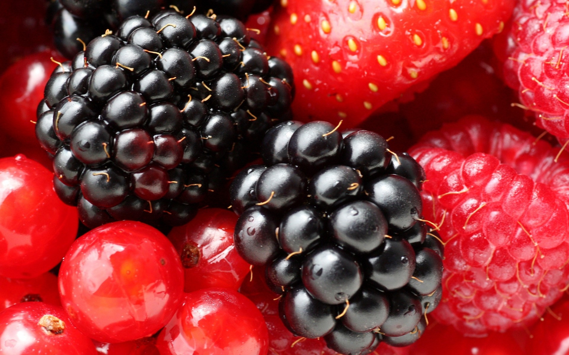 blackberry. groseilles fraises framboises baies