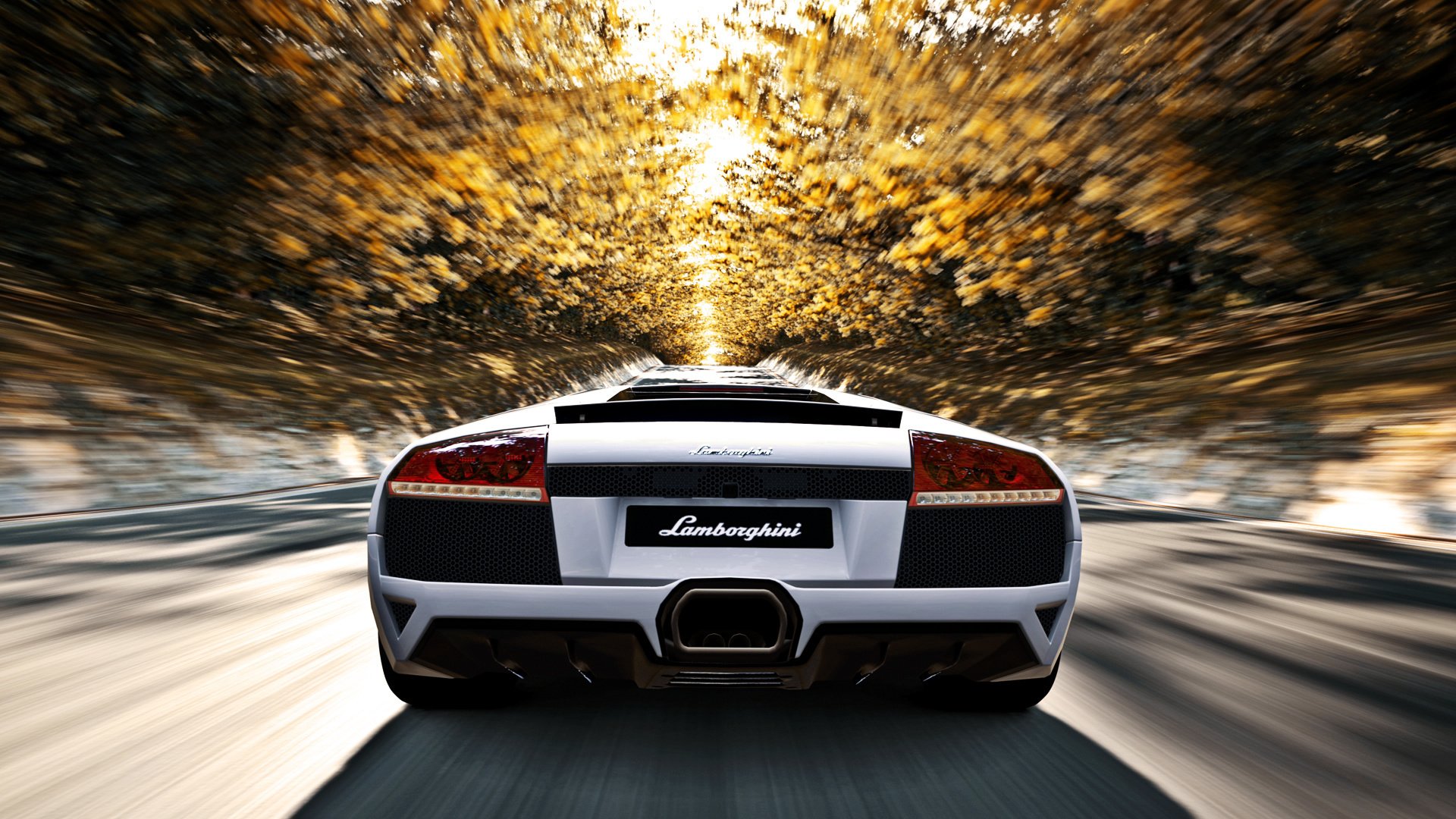 lamborghini murcielago lp640 carretera velocidad árboles otoño sol blanco lamborghini murselago