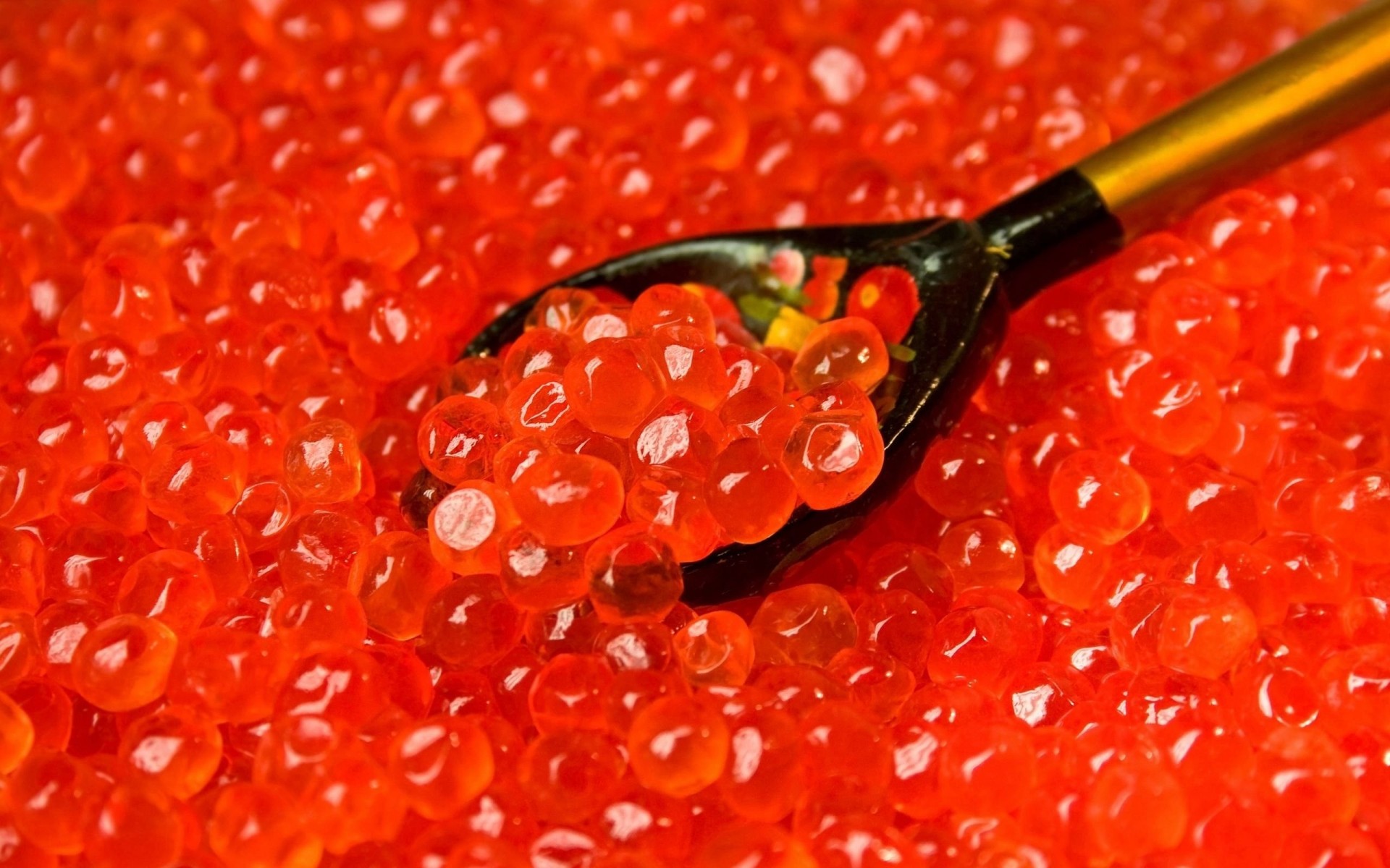 caviar delik appétissant repas