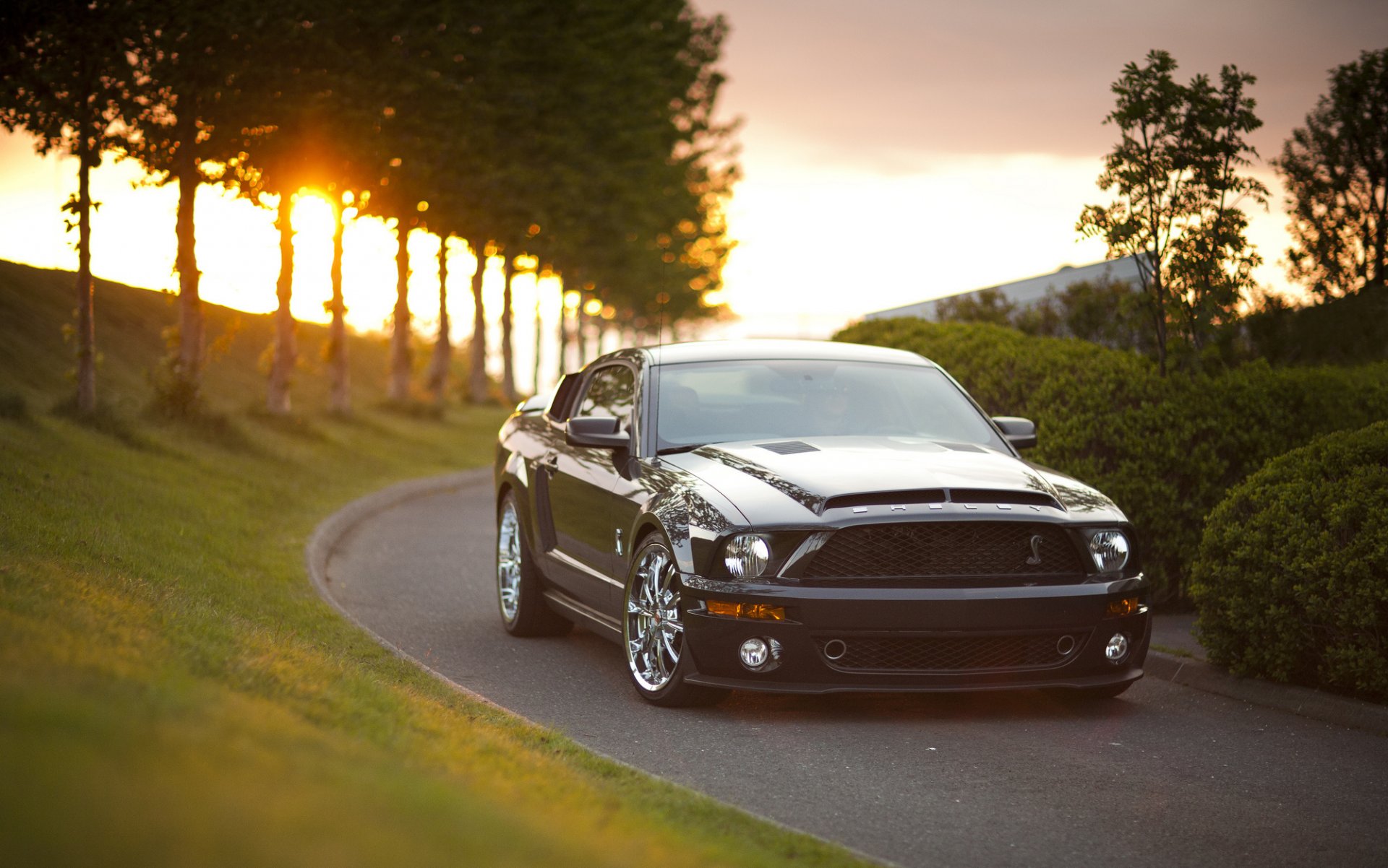 mustang voiture allée route