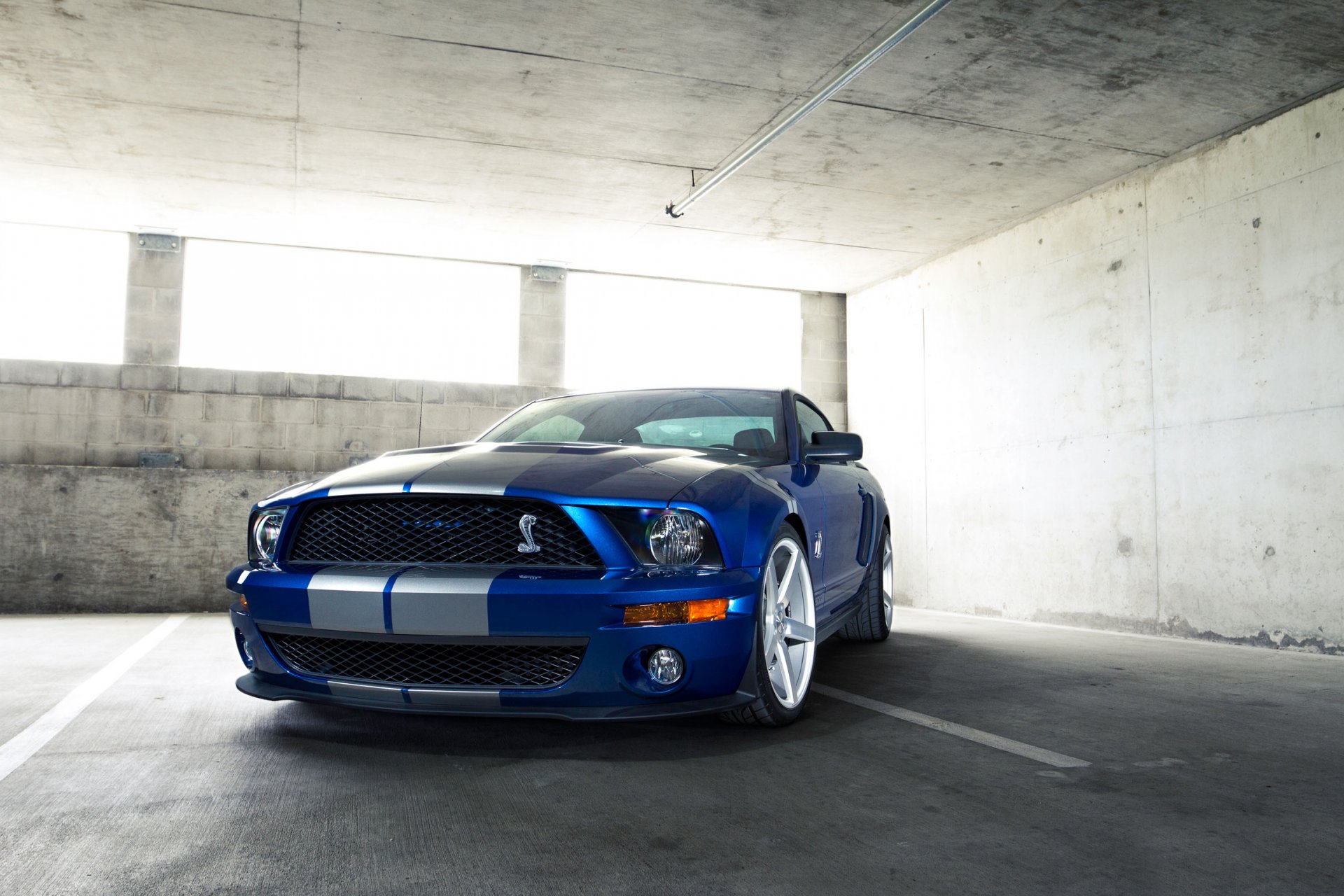 ford mustang gt500 shelby auto papier peint automatique bleu rayures rayures blanches