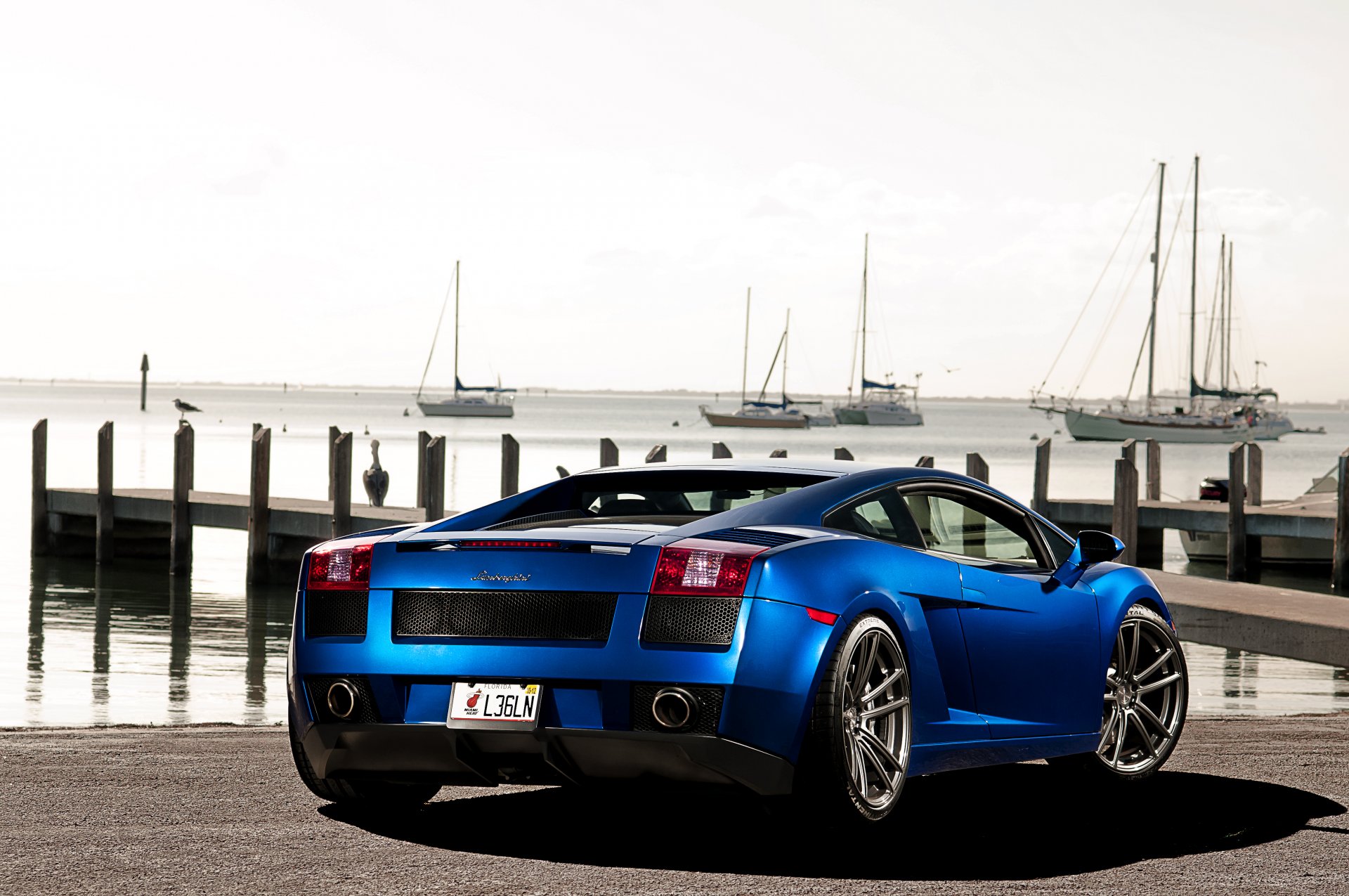 lamborghini gallardo blue lamborghini lamborghini gallardo rear sky berth yacht