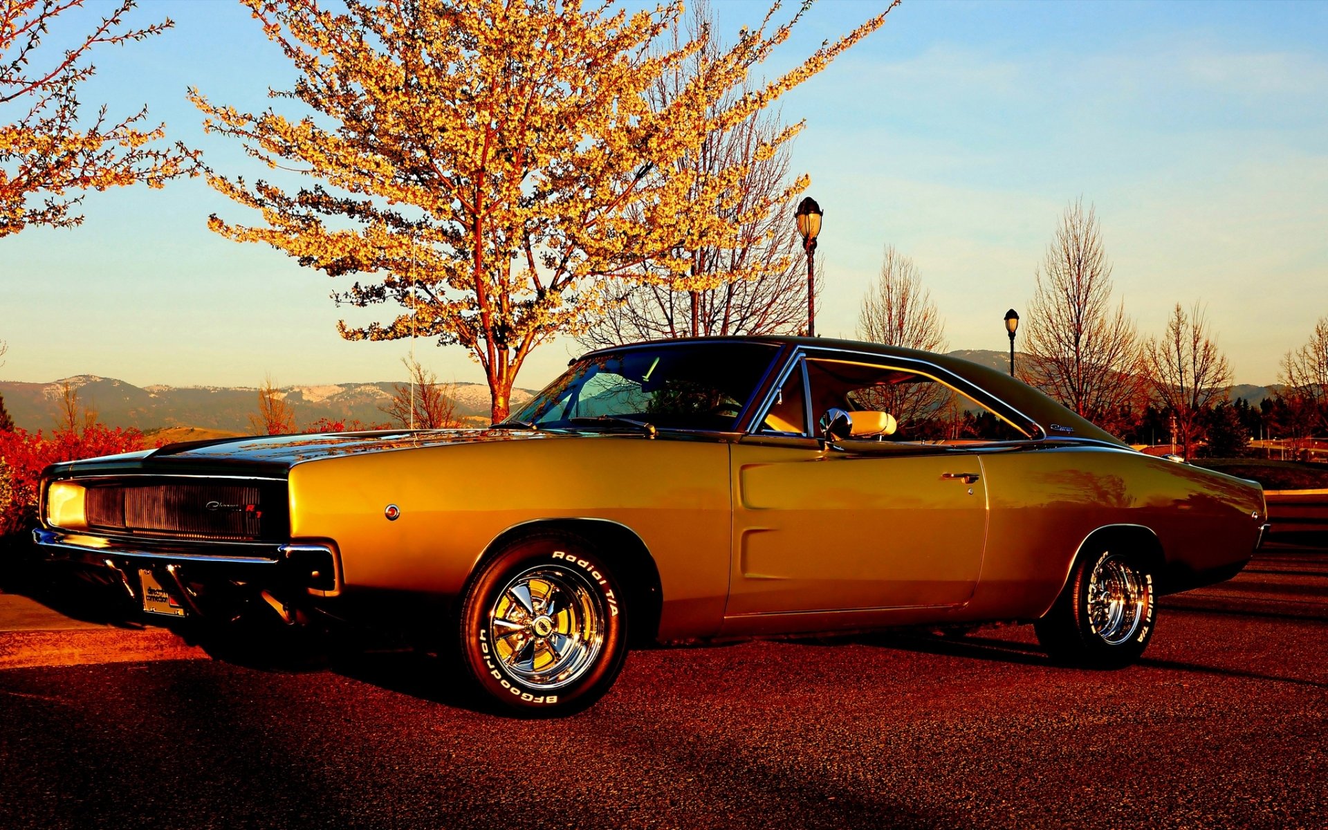 dodge ładowarka r / t 1968 dodge charger przód muscle car muscle car sky