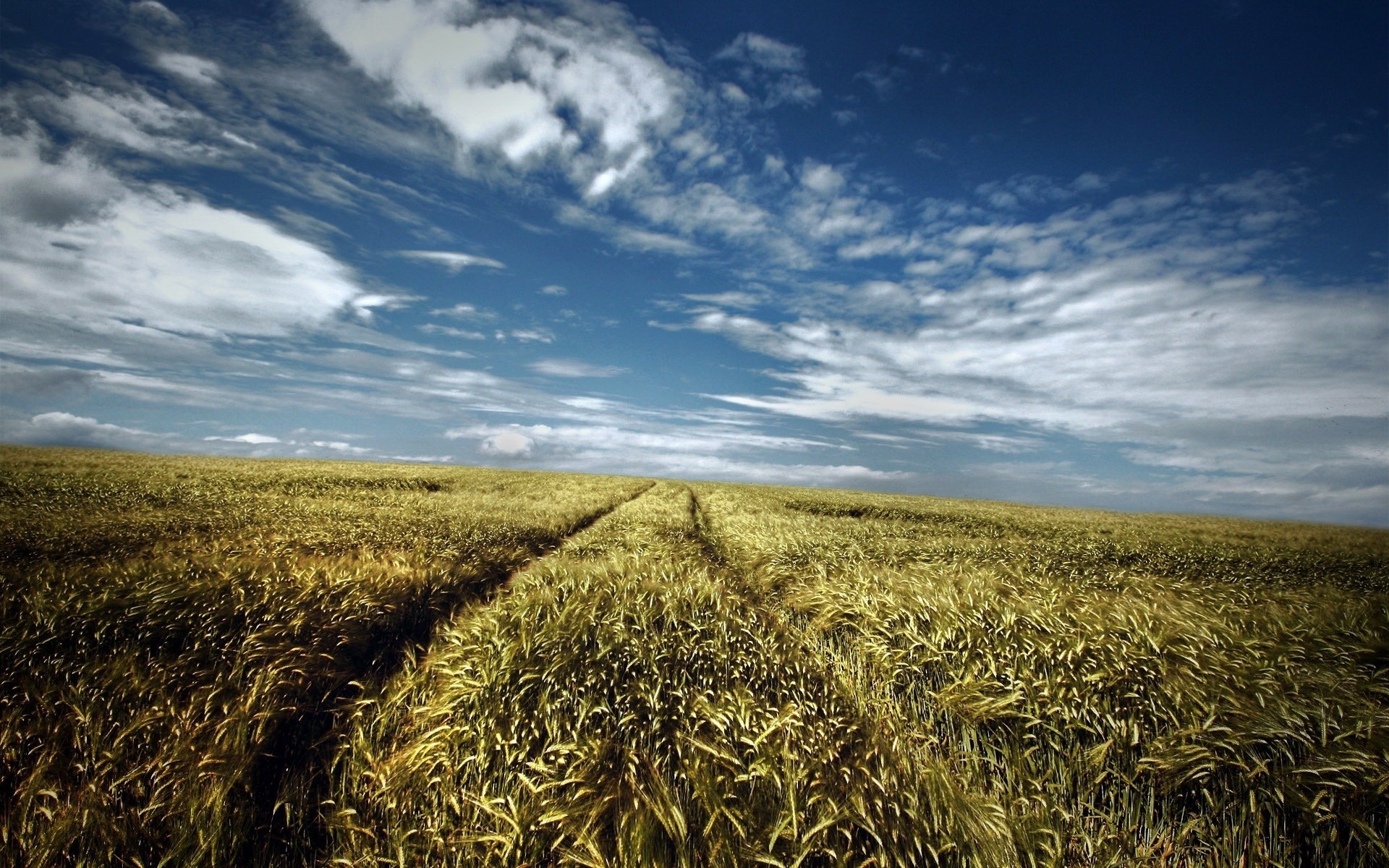 road the field summer sky