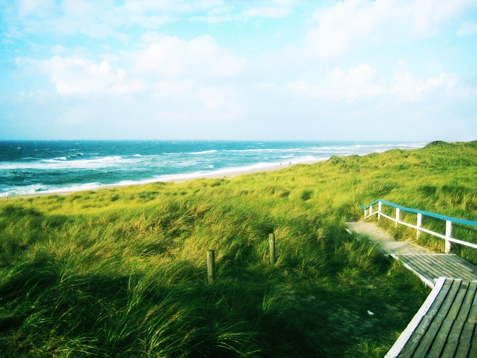 grün straße weg meer wellen