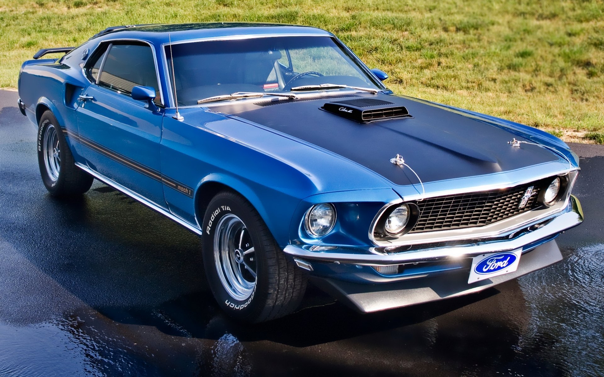 ford mustang mach 1 1969 blue front muscle car muscle car classic lawn