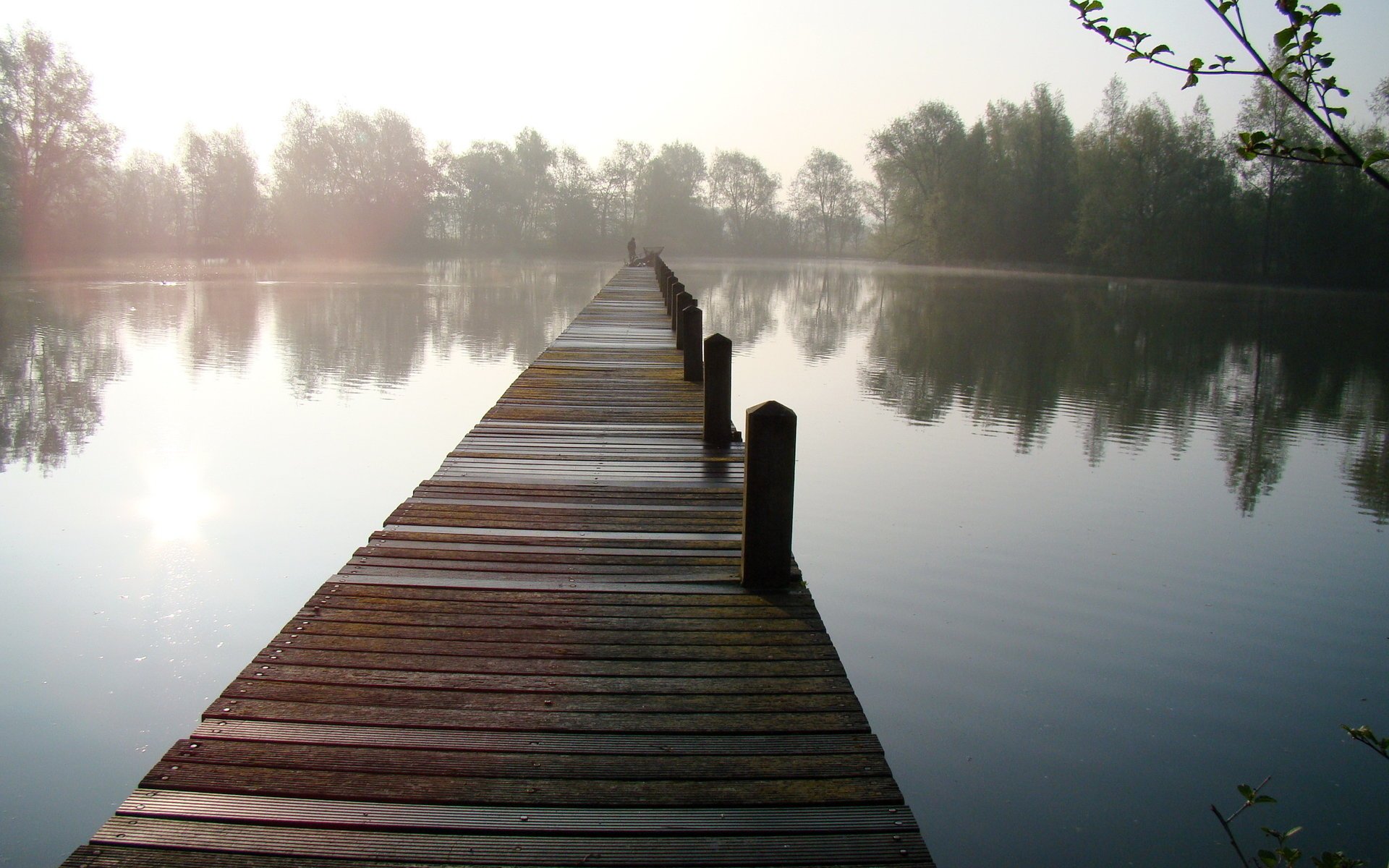 lago niebla puente