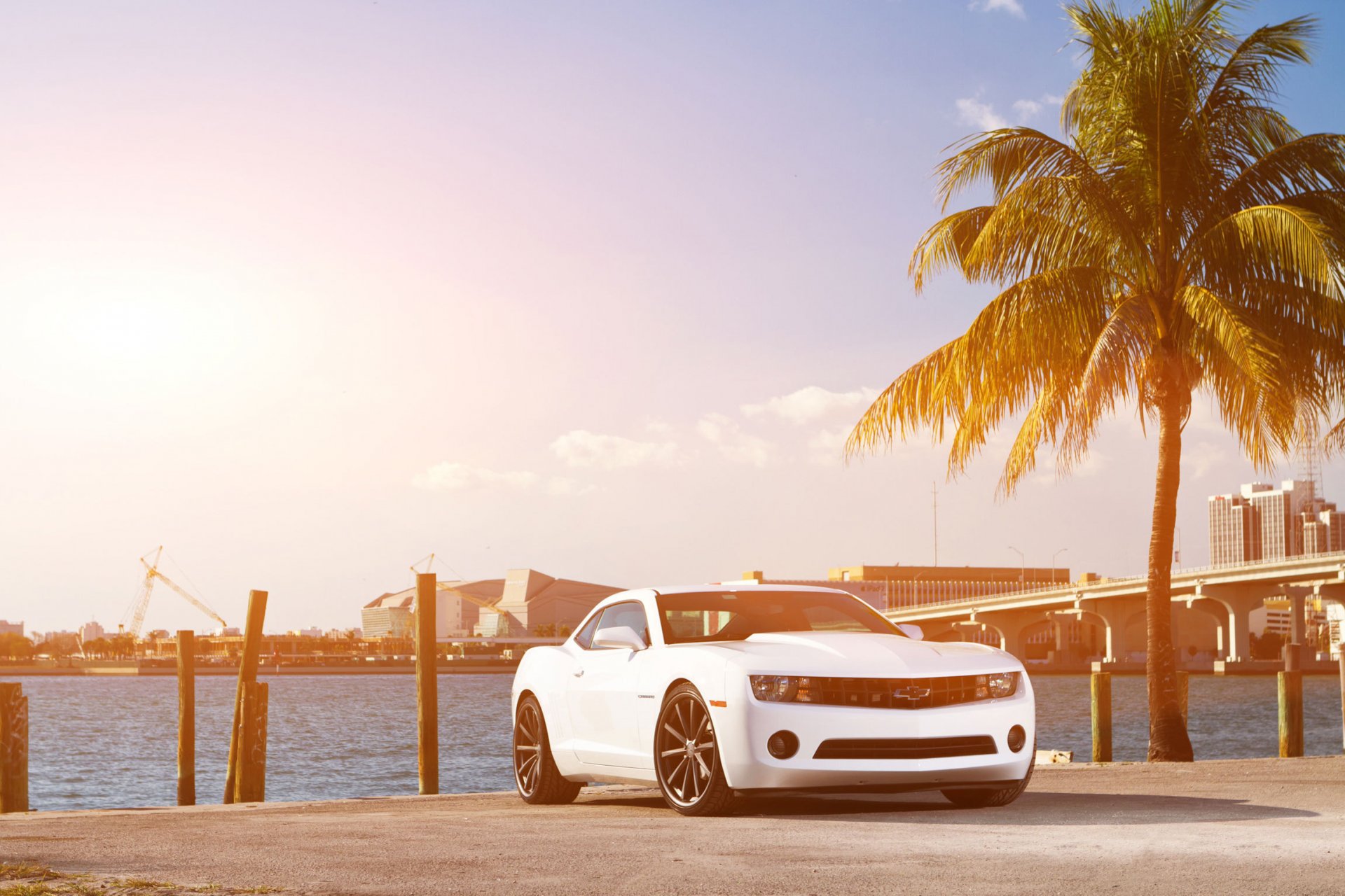 chevrolet camaro blanco chevrolet camaro frente muscle car palma costa cielo puente ciudad