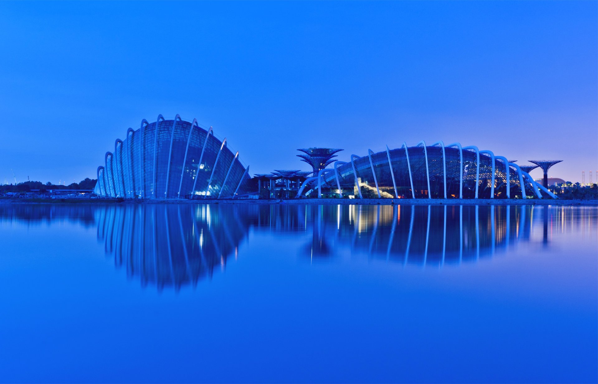 ingapore evening reflection gardens by the bay malaysia малайзия