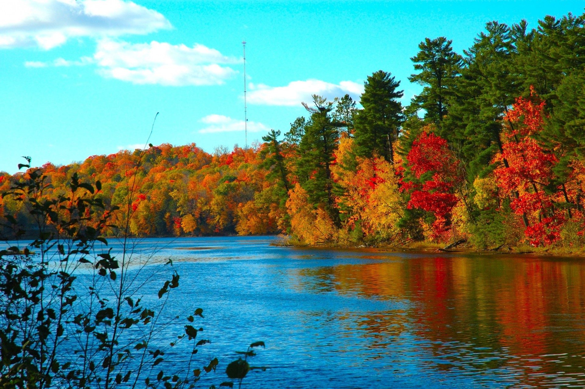 otoño frío lago agua