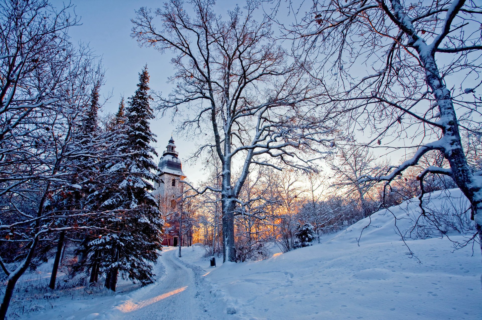 natura śnieg światło zima drzewa kościół