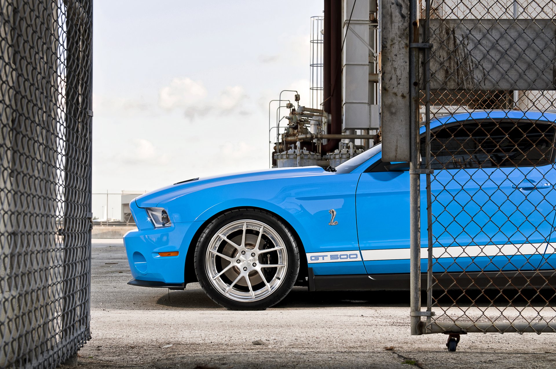 ford mustang shelby gt500 blu ciano strisce sportive muscle car recinzione rete