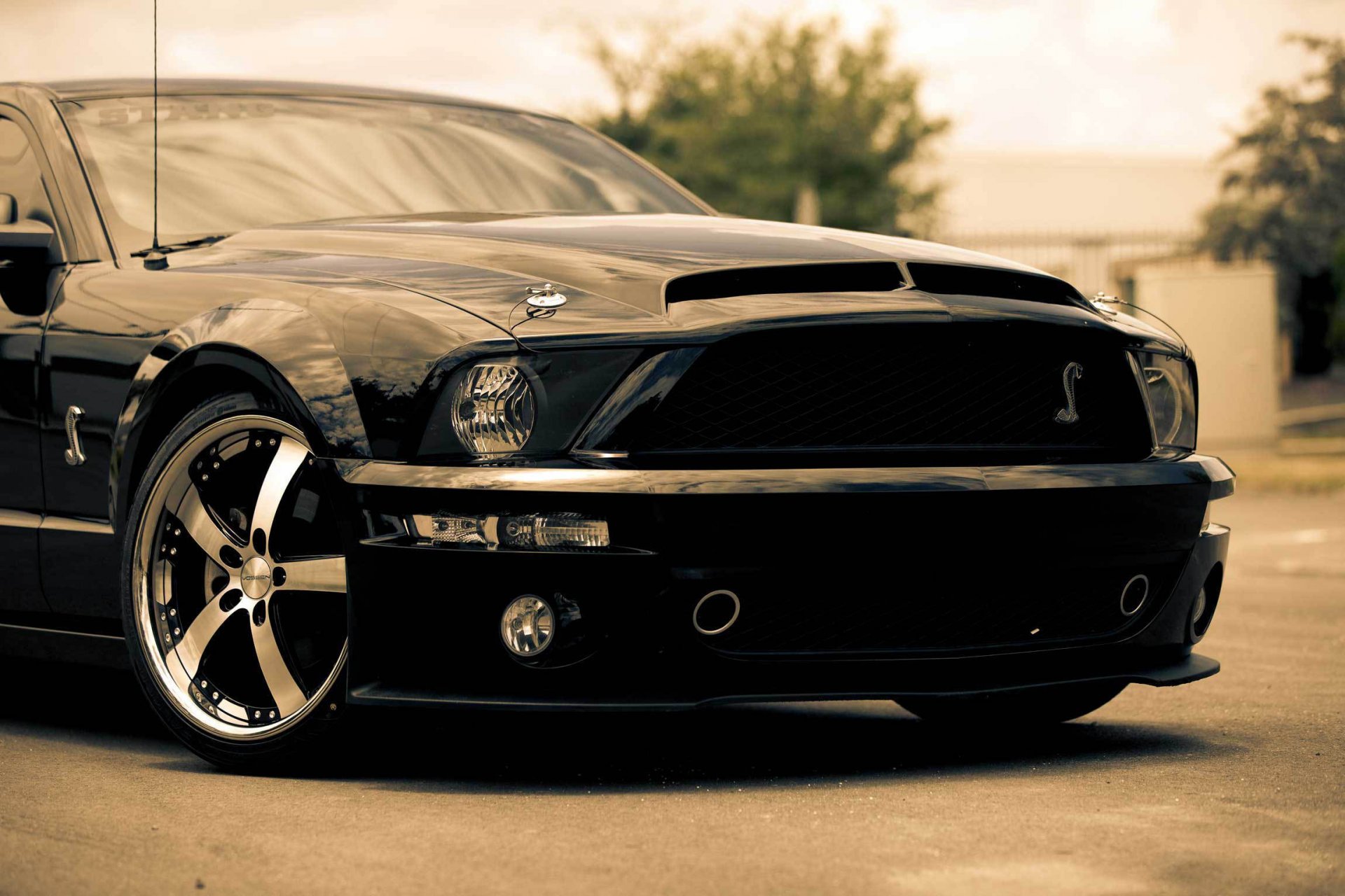 ford mustang shelby gt500 negro coche del músculo coche del músculo