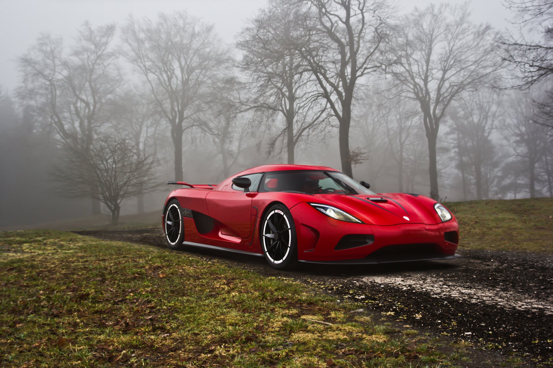 koenigsegg agerar bäume gras straße nebel