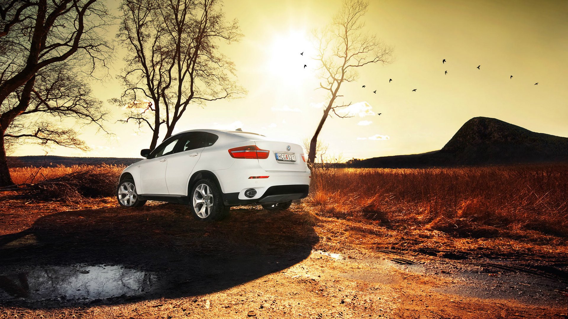 bmw x6 white suv suv bmw sun puddle