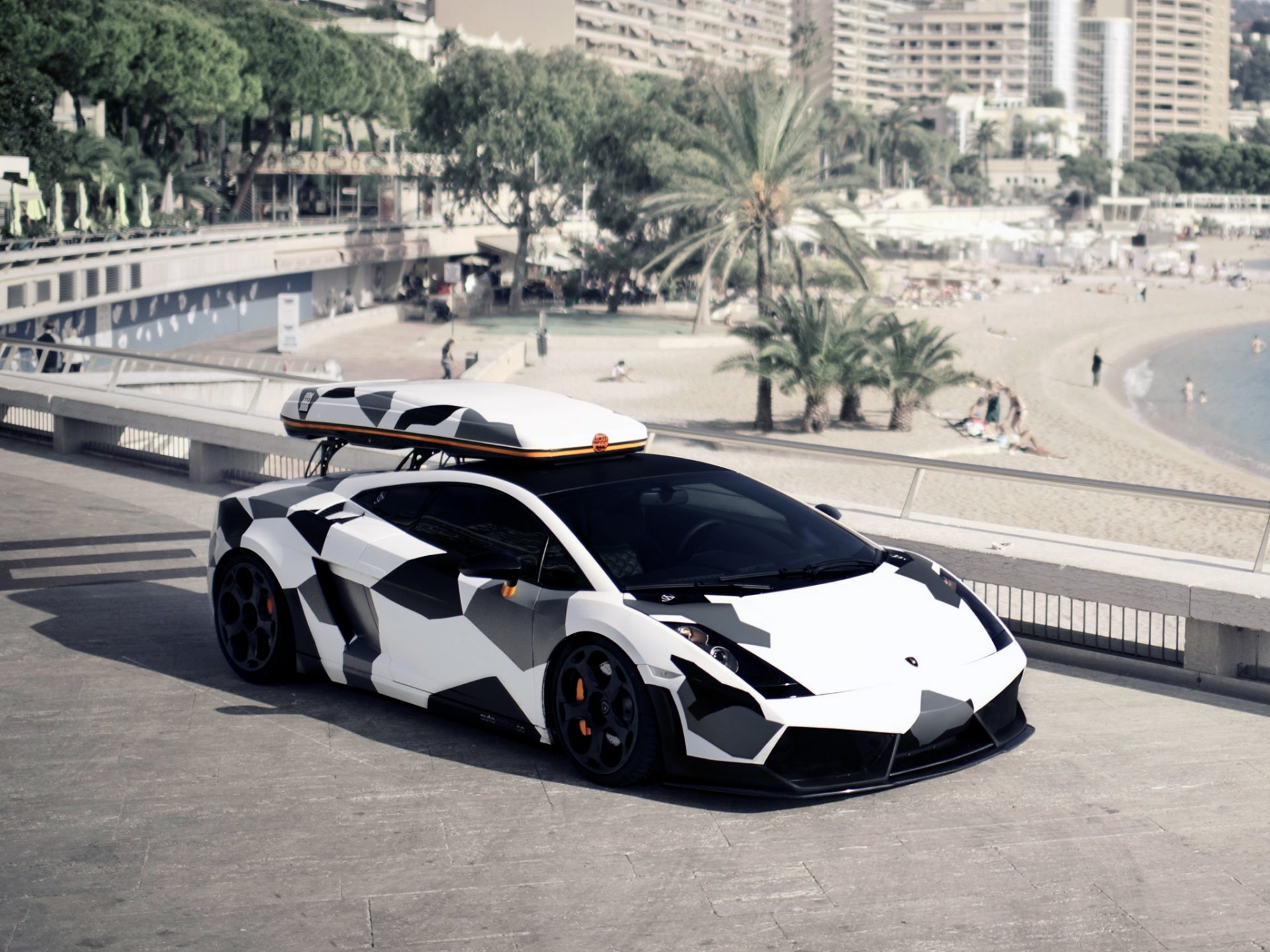 dmc conception lamborghini gallardo neve veloce camouflage tronc plage