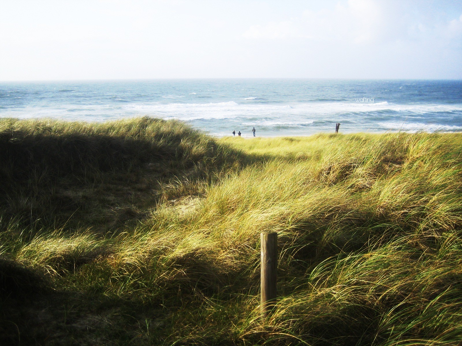 mer verdure vagues ciel gens