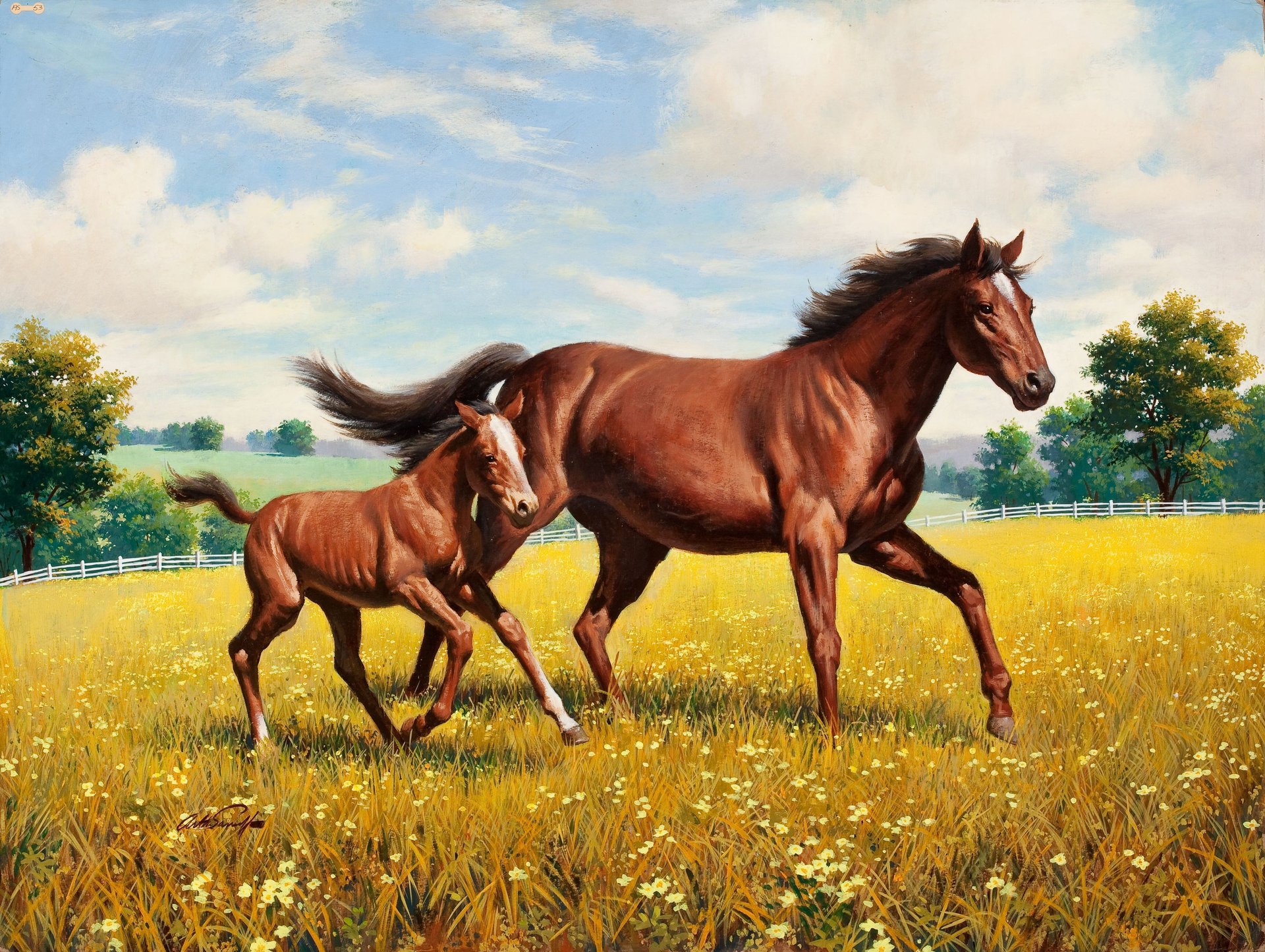 peinture arthur saron sarnoff cheval poulain pré