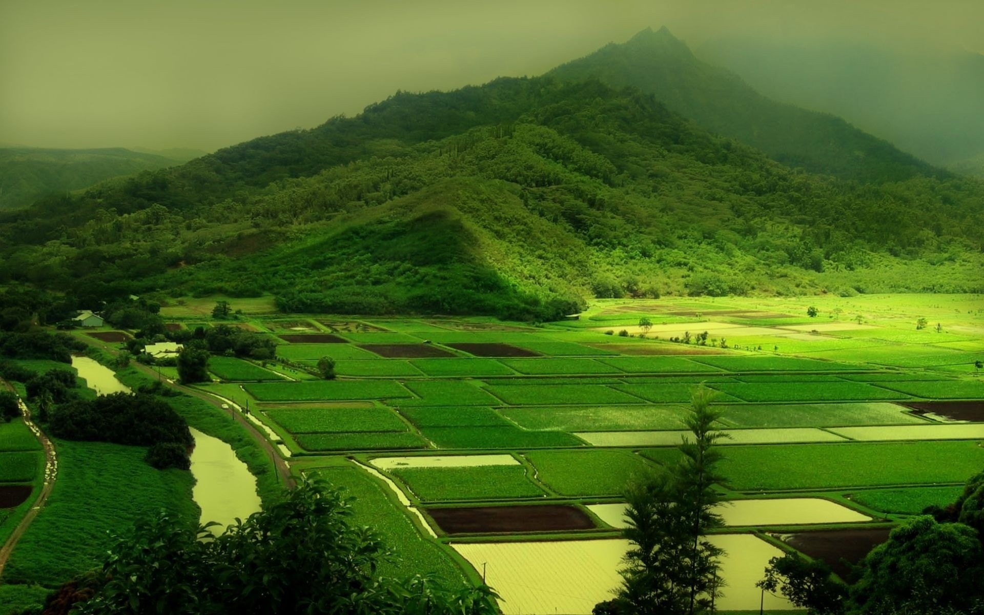 nature collines verdure vert