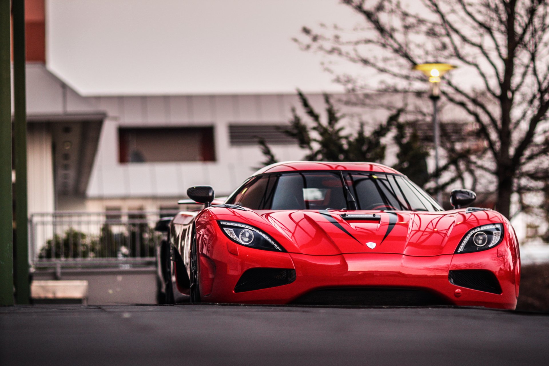 koenigsegg agerar rot abend