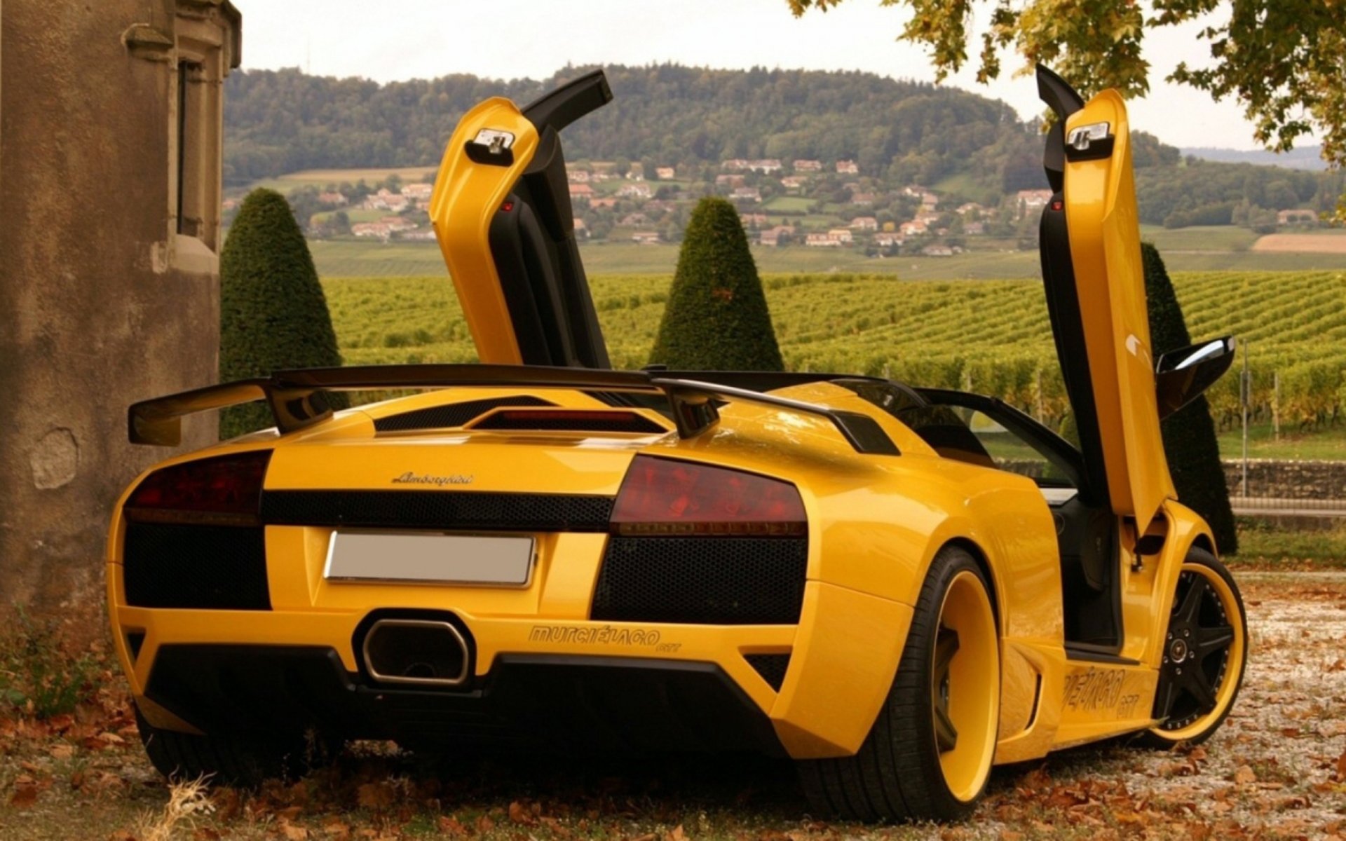 lamborghini murcielago lamborghini tuning natur