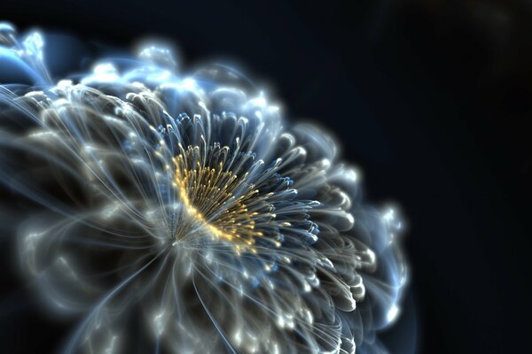 Abstraction of a neon energy flower on a dark background