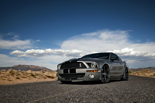 Powerful silver Ford Mustang on the road against the sky