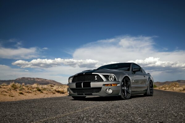 Potente Ford Mustang plateado en la carretera contra el cielo