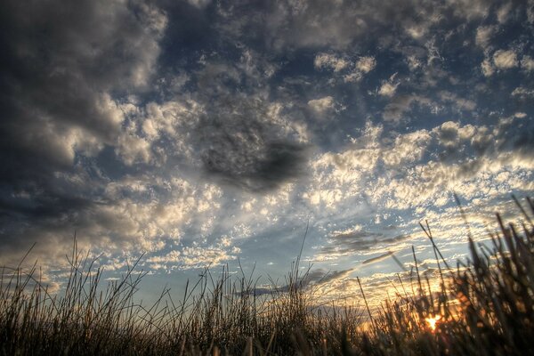 Aube nuageuse ou coucher de soleil sur fond d herbe