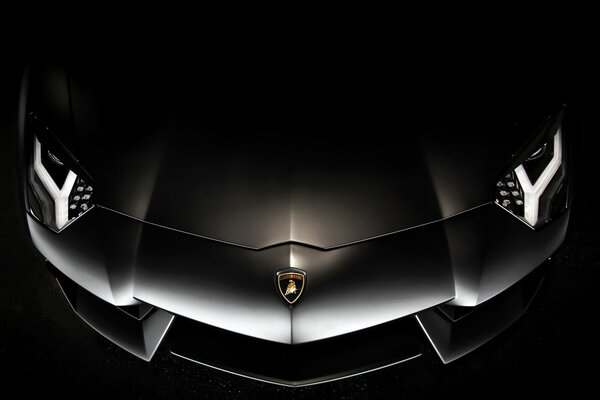 Foreground of a black lamborghini aventador