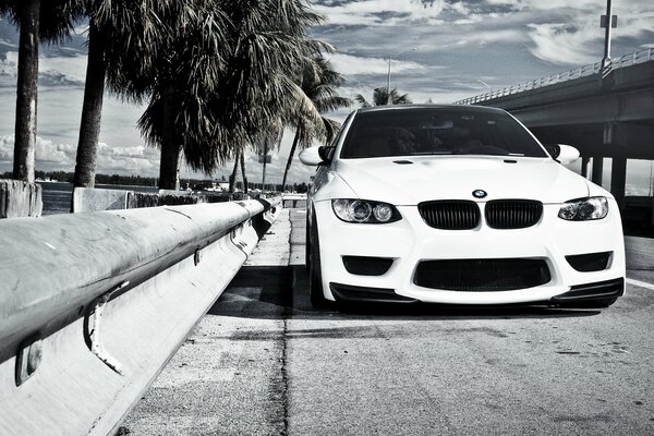 The white BMW stopped at the guardrail on the bridge