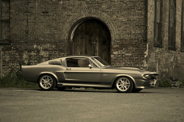 Mustang gt500 Shelby. Foto in bianco e nero