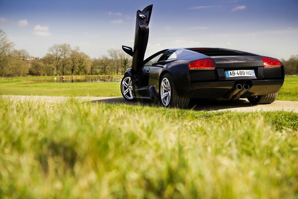 Spring grass and a black car