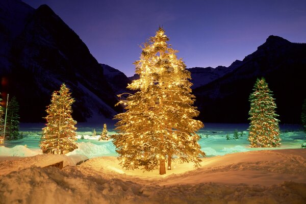 The Christmas tree glows and lights burn at night, in winter