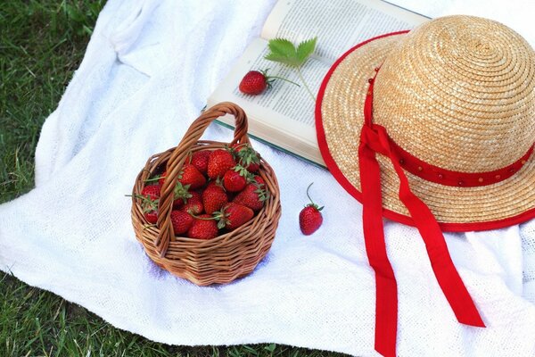 Sommerpicknick mit einem Korb mit Beeren