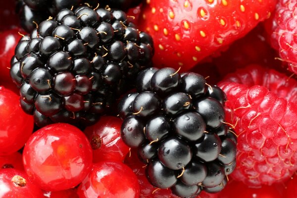 Red and black berries - strawberries, raspberries, blackberries, currants