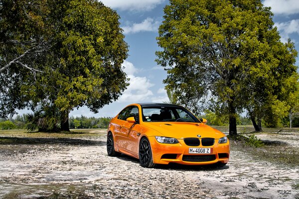 En la carretera entre los árboles hay un coche naranja