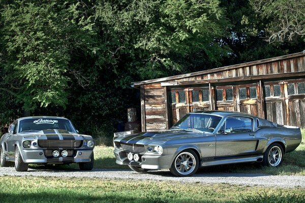 Ford mustang gt500 Shelby Eleanor près d une cabane dans les bois