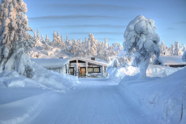 Zimowa droga w lesie do domu gdzieś w Finlandii