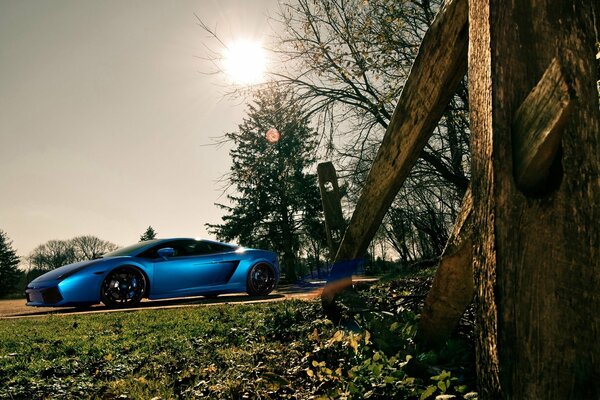 There is a beautiful, blue car in nature