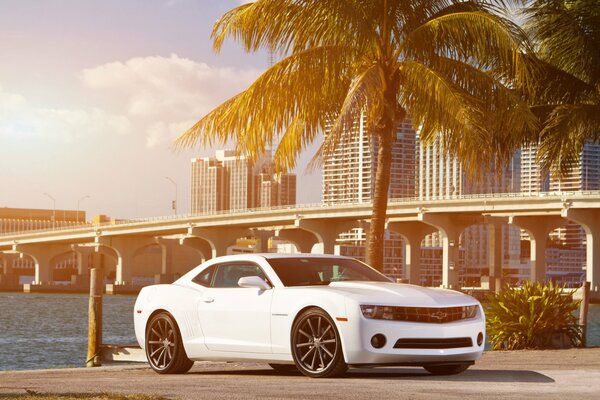 Blanc Chevrolet Camaro sur la côte